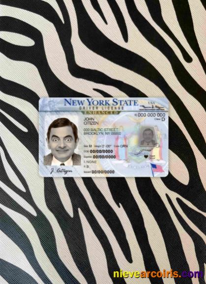 USA New York driving license photolook